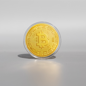 BTC 골드 1KG 7